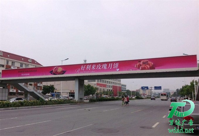 ������T�܏V���������S��